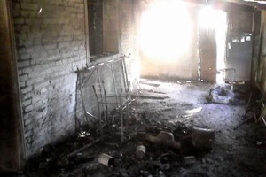 Gentileza Livio Folla