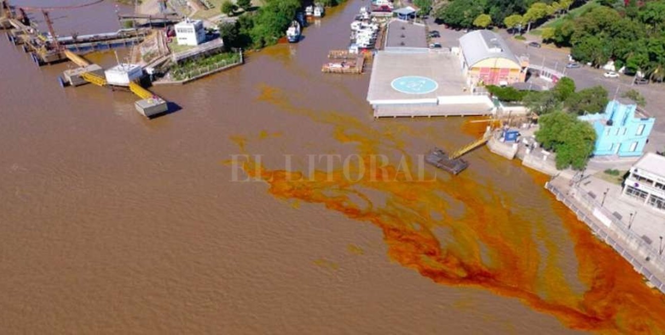 Bunge derramó 800 litros de aceite vegetal en el Paraná