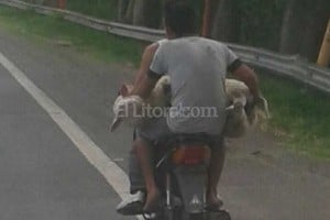 ELLITORAL_156797 |  Periodismo Ciudadano / WhatsApp