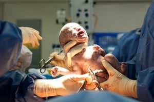 ELLITORAL_138127 |  Archivo El Litoral