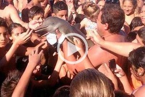 ELLITORAL_145558 |  Captura digital