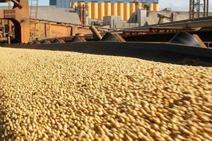 ELLITORAL_190633 |  Internet