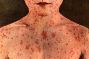 ELLITORAL_207293 |  Captura digital