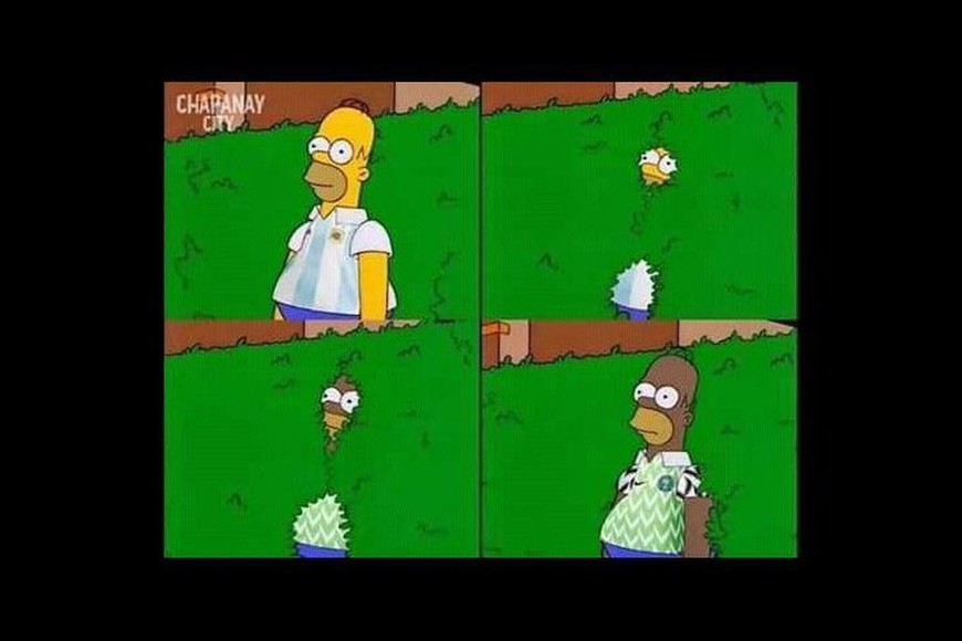 ELLITORAL_214889 |  Internet