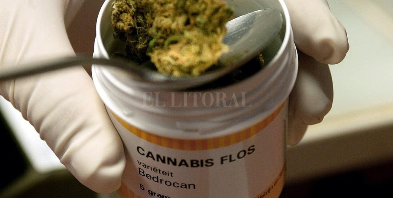 La justicia ordenó a una obra social que suministre cannabis medicinal a un afiliado