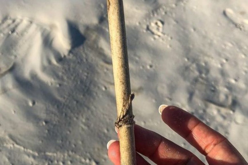 ELLITORAL_205250 |  BBC Mundo El rollo que  parecía un cigarrillo .