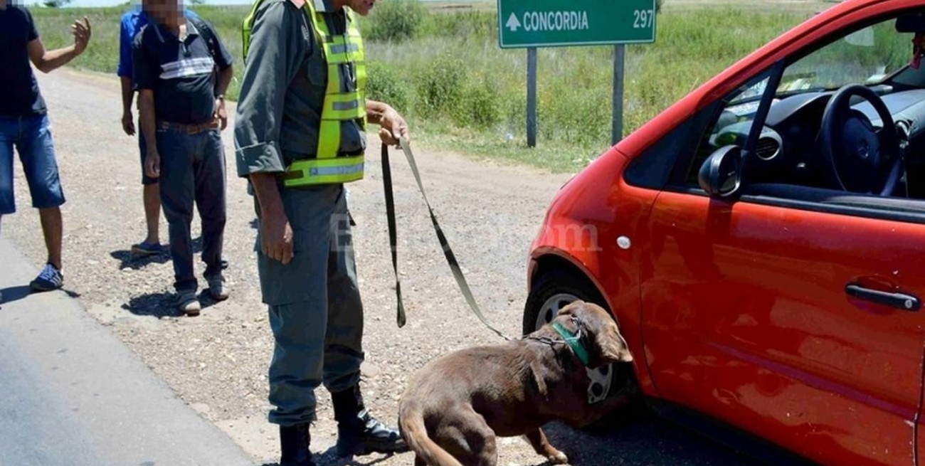 Corrientes: secuestraron más de 87 kilos de marihuana ocultos en un auto