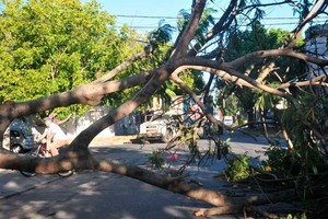 ELLITORAL_205970 |  Flavio Raina