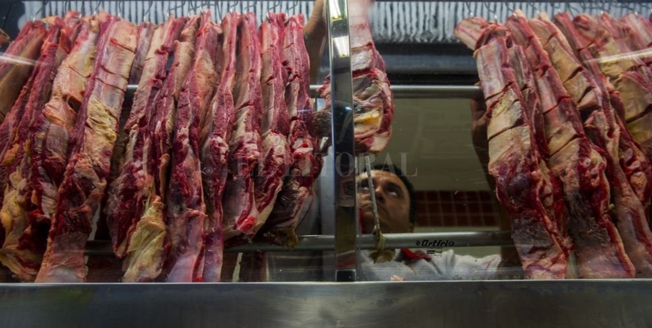 Las exportaciones de carne brasileña cayeron un 19%