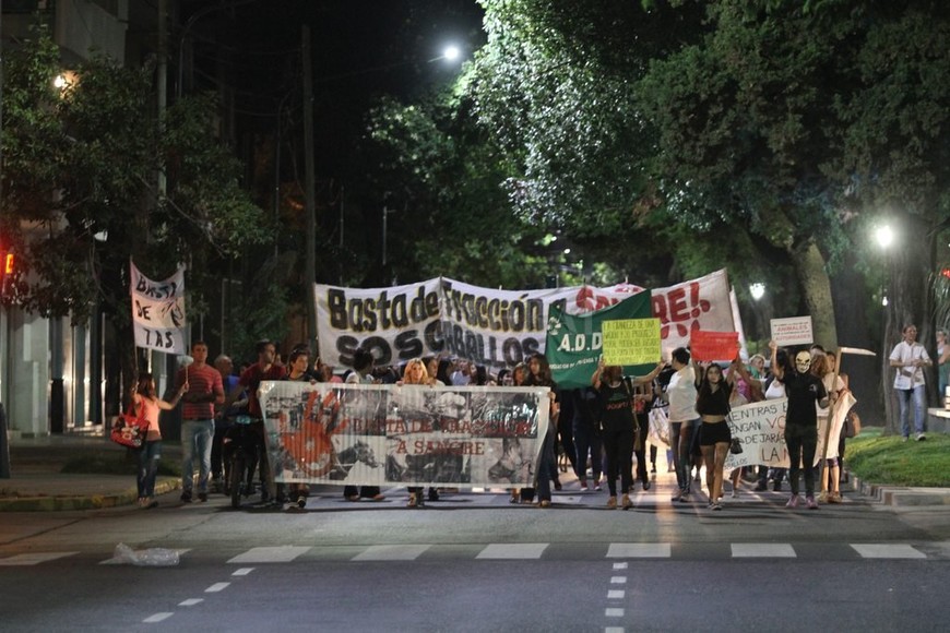 ELLITORAL_176932 |  Pablo Aguirre Dura realidad. Los carros tirados por caballos suelen ser la única salida que encuentran los recicladores y sus familias para sobrevivir en las barriadas más pobres de la ciudad.Marcha. Ayer a la noche, un grupo de entidades que defienden los derechos de los animales se movilizaron por bulevar para pedir el fin de la tracción a sangre.