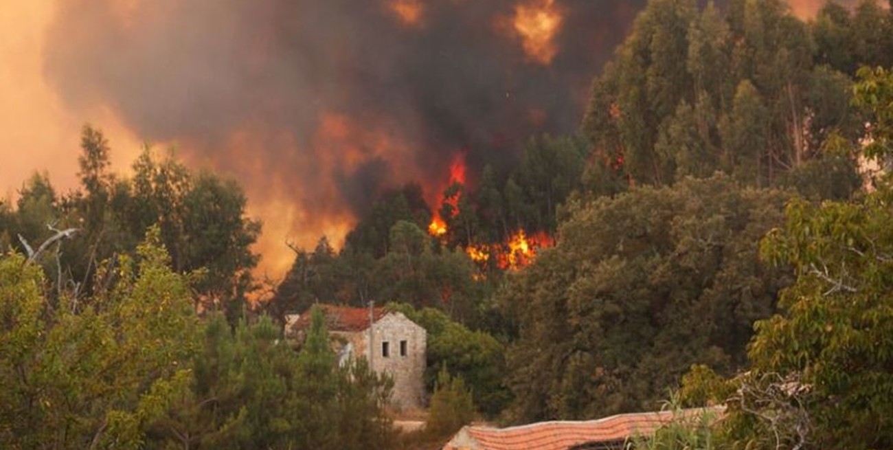 Incendios forestales en el norte de California amenazan viviendas 