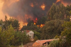 ELLITORAL_215913 |  Internet Incendios forestales en el norte de California amenazan viviendas.