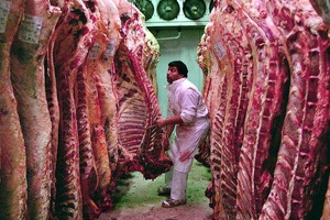 ELLITORAL_249746 |  Archivo El Litoral