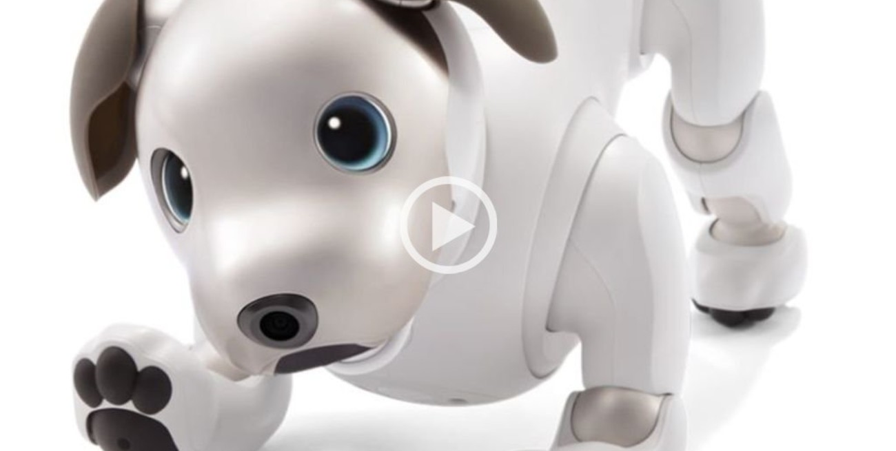 Presentaron a Aibo, la mascota robot más inteligente