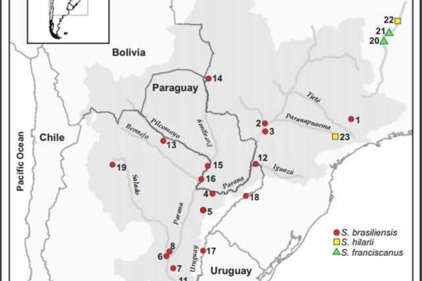 ELLITORAL_184449 | Prensa UNL