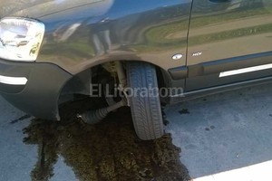 Periodismo Ciudadano / WhatsApp