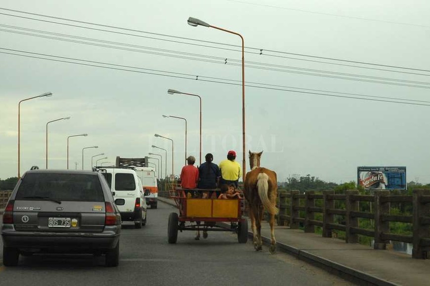 ELLITORAL_192767 |  Archivo El Litoral Serio trastorno. Un carro sobre el Puente Carretero implica una situación de alto riesgo. Para sus ocupantes, para el animal y para los automovilistas que realizan el sobrepaso.
