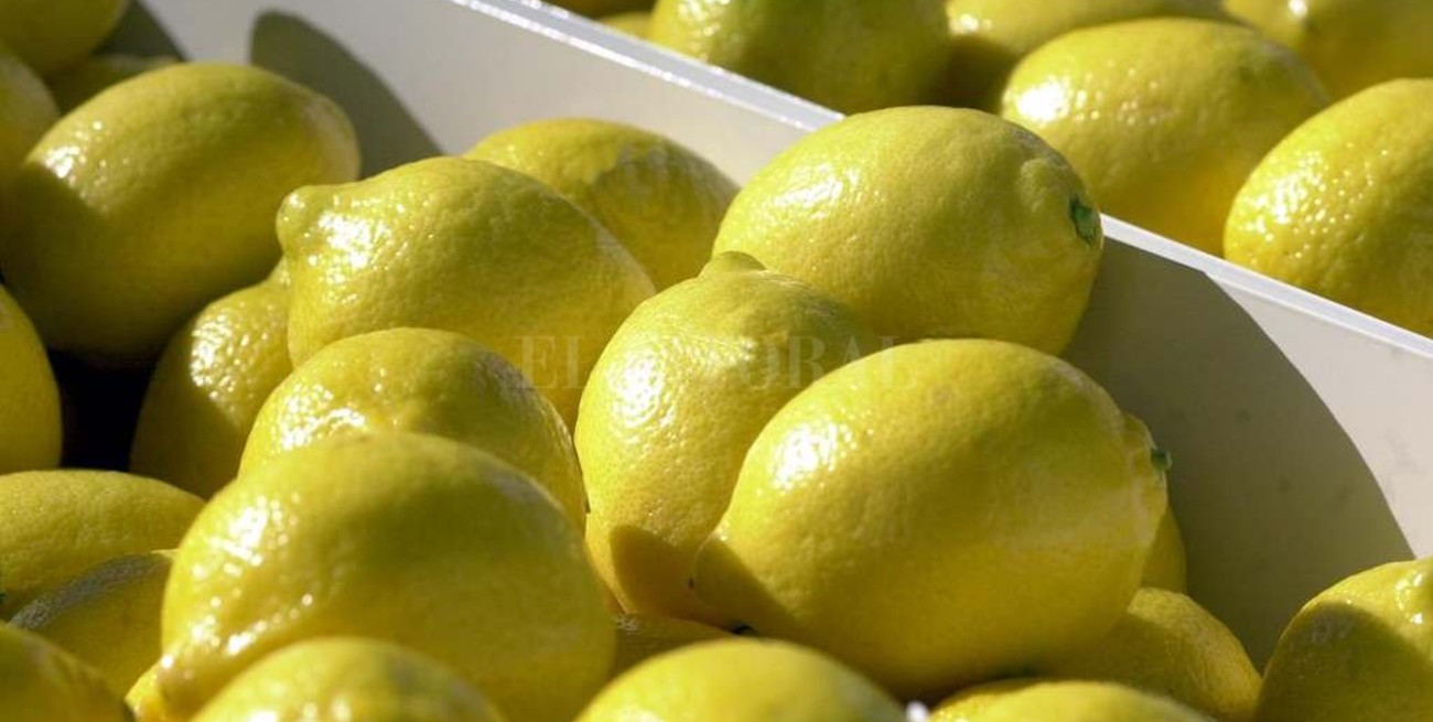 EEUU mantendrá suspendido el ingreso de limones 
