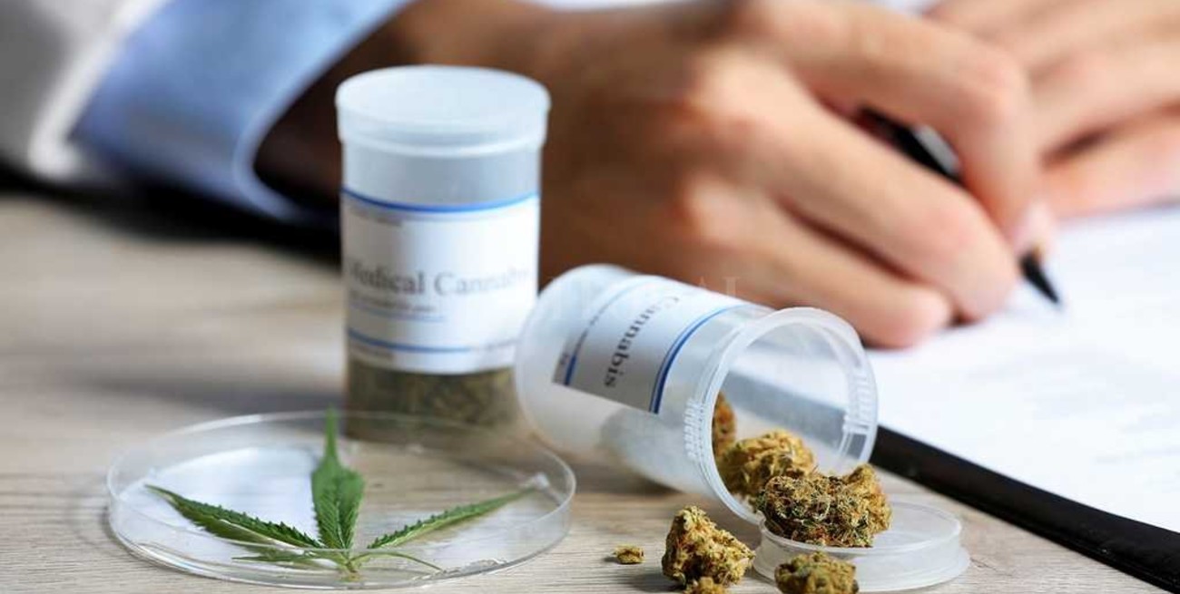 Reglamentaron la ley de uso medicinal de cannabis