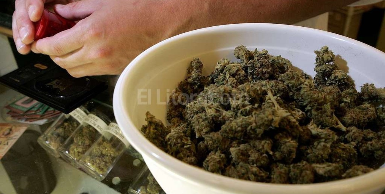 En Santa Fe, ya son legales los medicamentos en base a cannabis