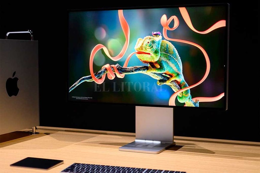 ELLITORAL_249403 | Gentileza