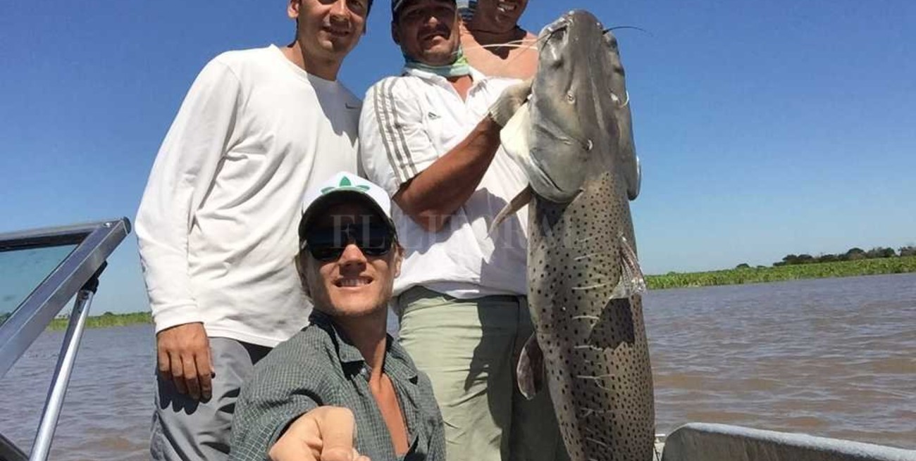 Video: pescaron un surubí gigante y lo devolvieron al río