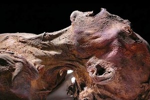 ELLITORAL_203582 |  Internet La expresión de su rostro es diferente al resto de las momias del mundo.