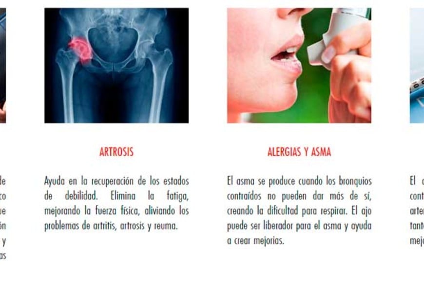 ELLITORAL_223502 |  Gentileza.