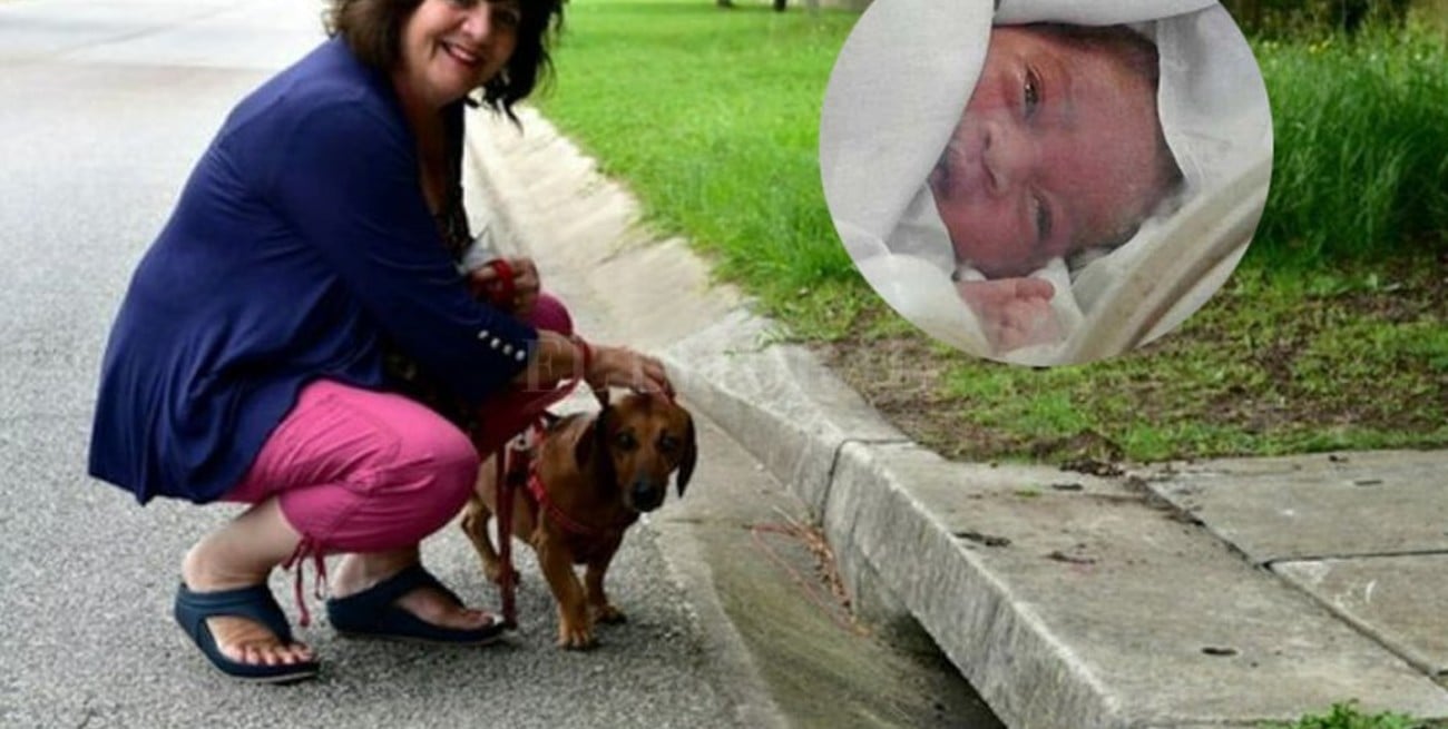 Su perro "salchicha" olfateó una alcantarilla y encontró una bebé tratando de sobrevivir