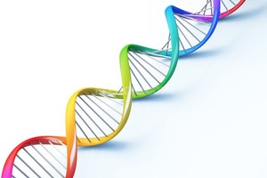 El Litoral.com Con tu ADN se puede personalizar tu bufanda.