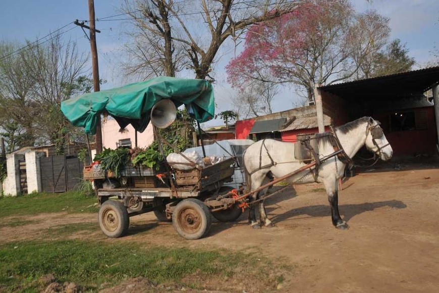 ELLITORAL_189819 | Flavio Raina Frutas y huevos. Por las calles de arena pasan los carros tirados por caballos que ofrecen frutas, verduras y huevos. Se los siente desde lejos por el canto de los vendedores desde la propaladora.