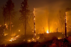 ELLITORAL_218146 |  Archivo El Litoral Una incendio asola una region de un bosque de la localidad californiana de Idyllwild, Estados Unidos, el 26/07/2018. Más de 3.000 personas fueron evacuadas por los incendios que asolan la región. Foto: Kevin Warn/ZUMA Wire/dpa +++ dpa-fotografia +++