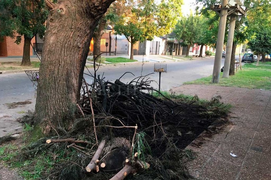 ELLITORAL_208226 |  Periodismo Ciudadano / WhatsApp