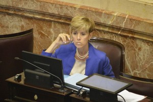 ELLITORAL_218735 |  Internet La senadora barilochense del bloque FpV- PJ, Silvina García Larraburu.