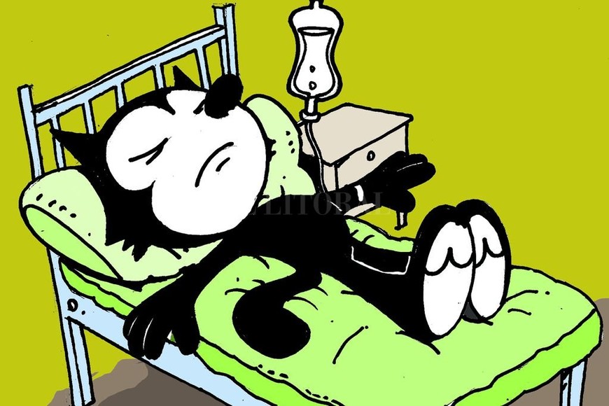 ELLITORAL_256691 |  Ilustración: Luis Dlugoszewski