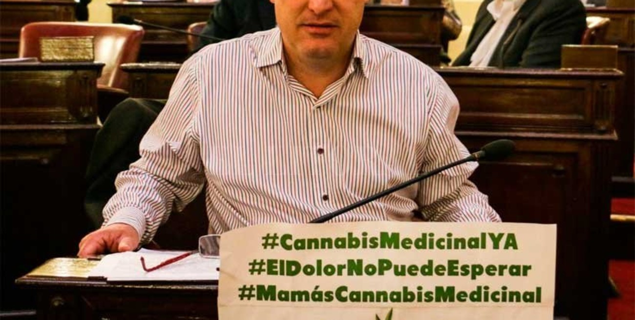 Cannabis Medicinal: solicitan a Nación que destrabe la importación de materia prima