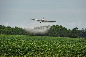 El Litoral El fallo de la Corte Suprema de Justicia de la provincia convalidó el criterio de la ordenanza de la comuna de Arequito sobre el uso de agroquímicos de Banda Roja .