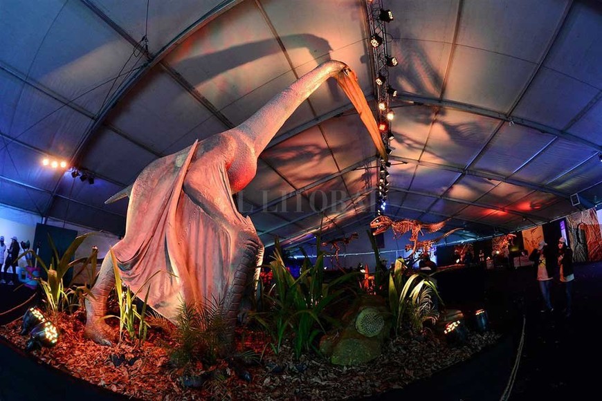 ELLITORAL_182099 |  Twitter @turismoparana