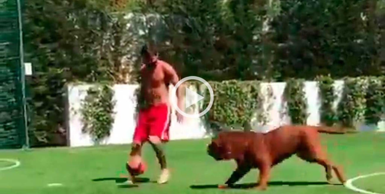 Video: Messi juega a la pelota y se divierte con su "enorme" perro