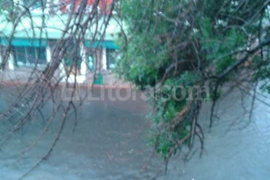 ELLITORAL_145481 |  Periodismo Ciudadano / WhatsApp