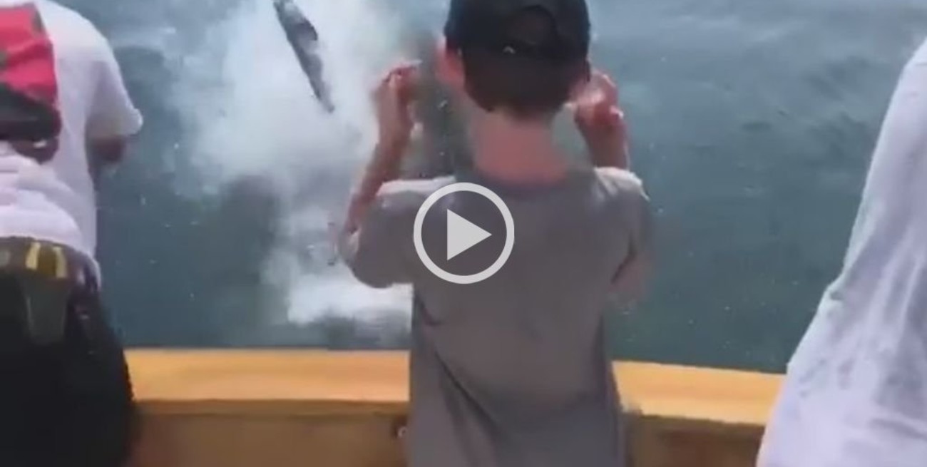Video: Pescaban tranquilamente hasta que un tiburón Blanco los sorprendió
