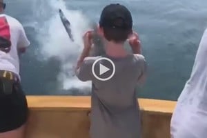 ELLITORAL_255230 |  Captura de pantalla.