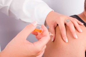 ELLITORAL_207367 |  Archivo El Litoral Prevención. Los padres también deben  chequear  si sus hijos recibieron la vacuna contra la enfermedad.