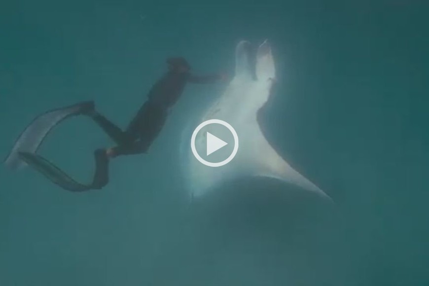 ELLITORAL_254133 |  Captura de pantalla.