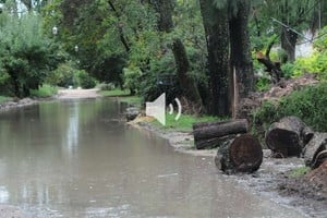 ELLITORAL_149257 |  Flavio Raina