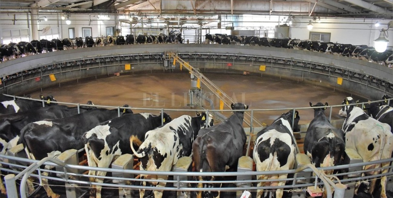 UE y EE.UU. impulsan la producción mundial de leche