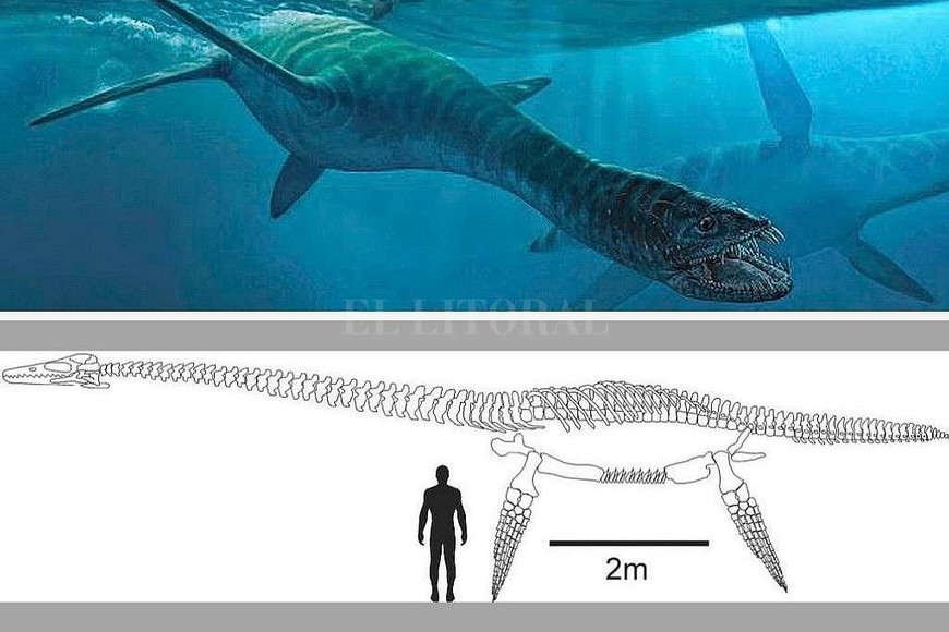 ELLITORAL_249452 |  NA