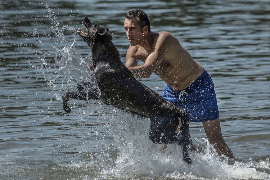 ELLITORAL_218324 |  dpa Un hombre se refresca con su perro en una playa debido a la ola de calor en Berlín, Alemania.