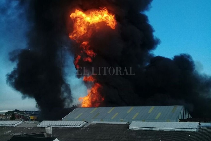 ELLITORAL_193797 | DyN