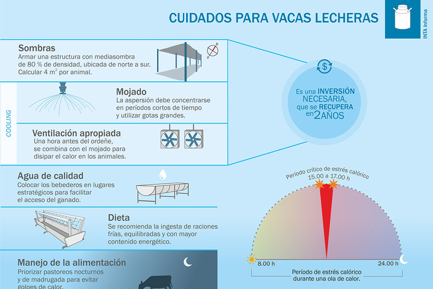 ELLITORAL_201596 |  Verónica Durán La recomendación es combinar períodos cortos de mojado intensivo con momentos prolongados de ventilación.